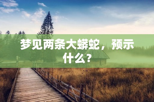 梦见两条大蟒蛇，预示什么？