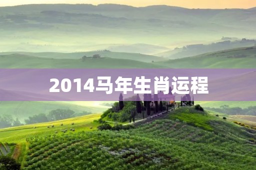 2014马年生肖运程：十二生肖运势详解