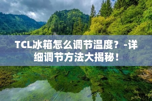 TCL冰箱怎么调节温度？-详细调节方法大揭秘！