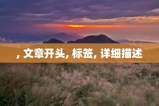, 文章开头, 标签, 详细描述 , 文章开头, 标签, 详细描述