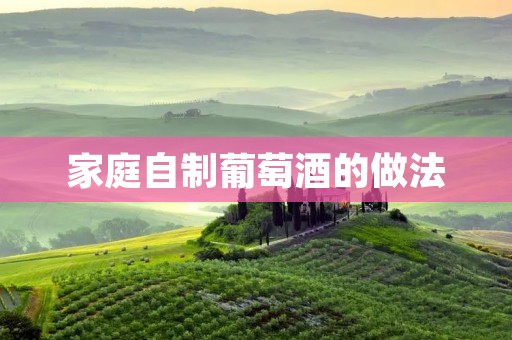 家庭自制葡萄酒的做法