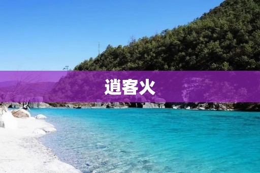 逍客火:一场引发全民关注的汽车起火事件 逍客火:一场引发全民关注的汽车起火事件