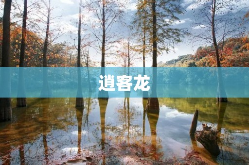 逍客龙：一款全新的SUV车型