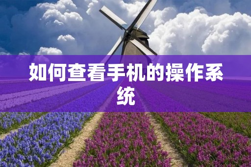 如何查看手机的操作系统 如何查看手机的操作系统