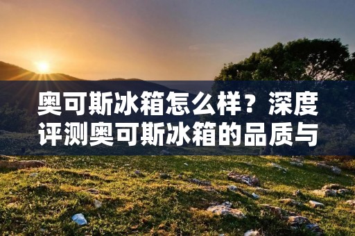 奥可斯冰箱怎么样？深度评测奥可斯冰箱的品质与性能