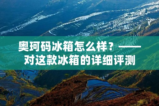 奥珂码冰箱怎么样？——对这款冰箱的详细评测