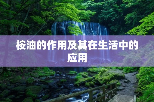 桉油的作用及其在生活中的应用 桉油的作用及其在生活中的应用