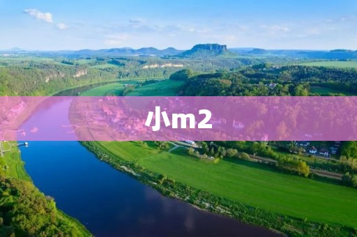 小m2:打破性能和价格的平衡 小m2:打破性能和价格的平衡
