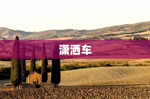 潇洒车：让出行更加自由自在