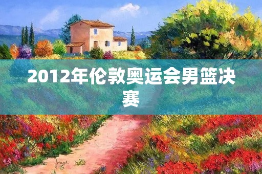 2012年伦敦奥运会男篮决赛：美国队夺冠