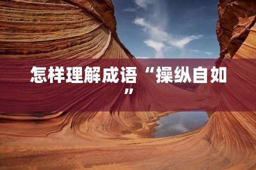 怎样理解成语“操纵自如”