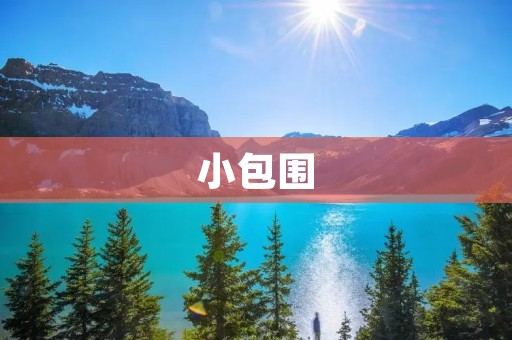 小包围:一种有效的作战战术 小包围:一种有效的作战战术