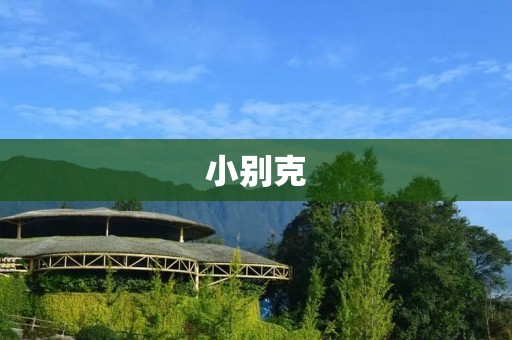 小别克:越来越受欢迎的城市SUV 小别克:越来越受欢迎的城市SUV