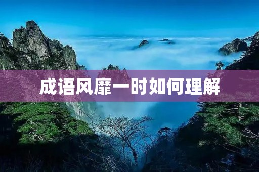 成语风靡一时如何理解