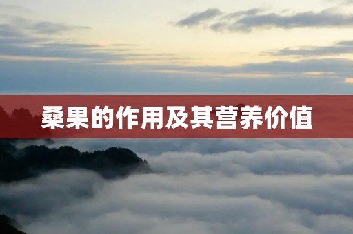 桑果的作用及其营养价值 桑果的作用及其营养价值