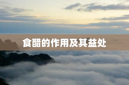 食醋的作用及其益处