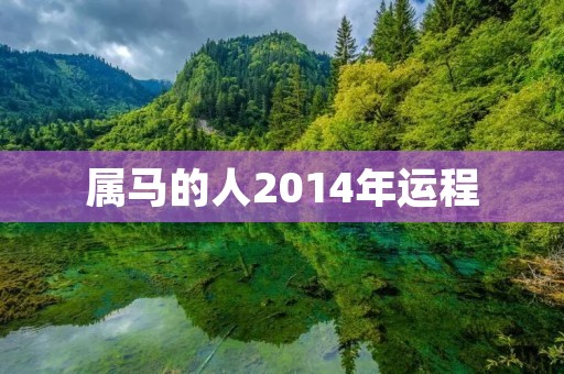 属马的人2014年运程