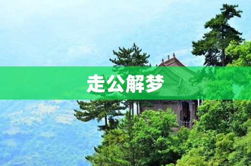 走公解梦：揭秘梦境背后的真相