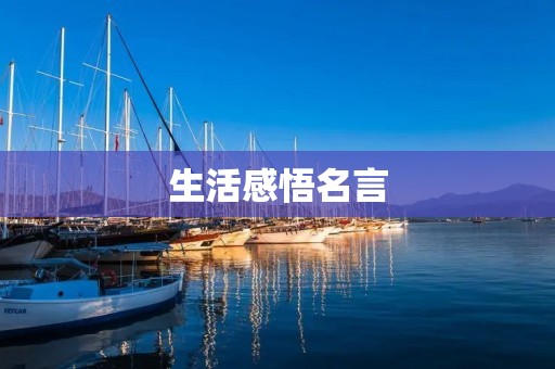 生活感悟名言:人生如戏,全靠演技