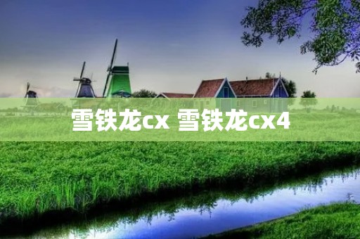 雪铁龙cx 雪铁龙cx4