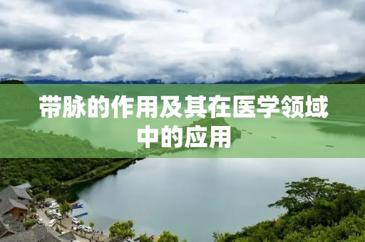 带脉的作用及其在医学领域中的应用 带脉的作用及其在医学领域中的应用