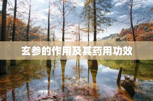 玄参的作用及其药用功效 玄参的作用及其药用功效