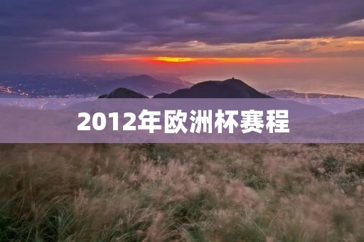 2012年欧洲杯赛程 2012年欧洲杯赛程