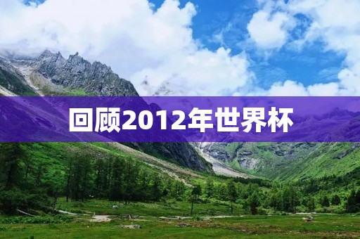 回顾2012年世界杯：巴西夺冠，梅西成为最佳球员