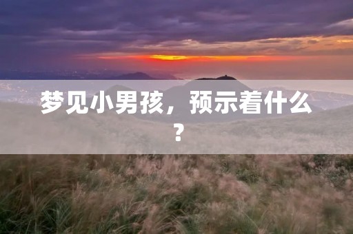 梦见小男孩，预示着什么？