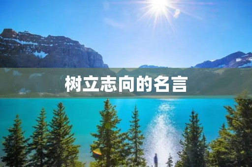 树立志向的名言