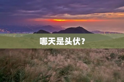 哪天是头伏?