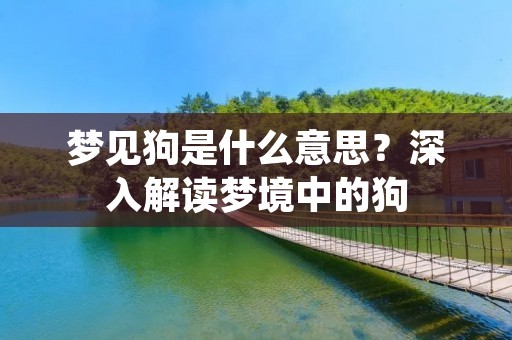 梦见狗是什么意思？深入解读梦境中的狗