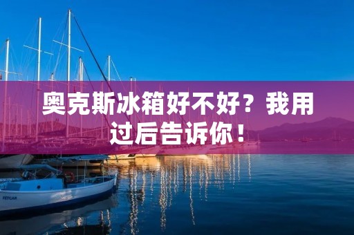 奥克斯冰箱好不好？我用过后告诉你！