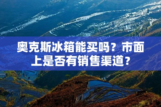 奥克斯冰箱能买吗？市面上是否有销售渠道？