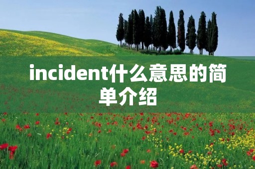 incident什么意思的简单介绍 incident什么意思的简单介绍
