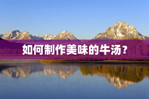 如何制作美味的牛汤？