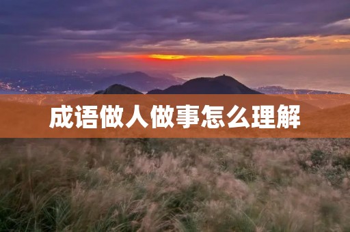 成语做人做事怎么理解