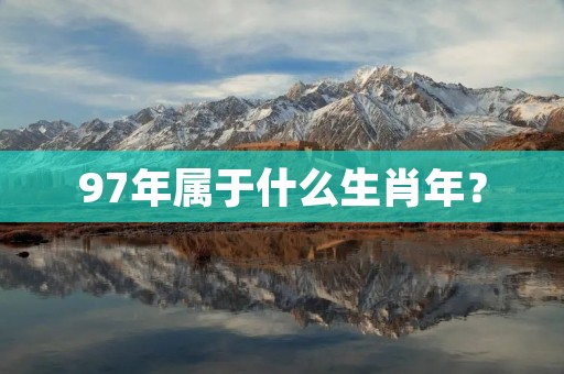 97年属于什么生肖年？