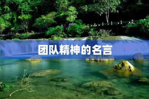 团队精神的名言