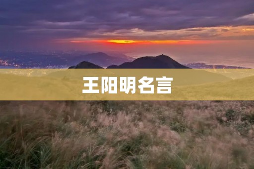 王阳明名言:知行合一,致良知