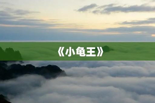 《小龟王》:一部寓言式童话故事 《小龟王》:一部寓言式童话故事