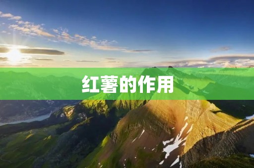 红薯的作用 红薯的作用