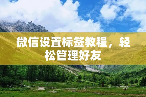 微信设置标签教程,轻松管理好友 微信设置标签教程,轻松管理好友