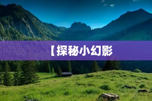 【探秘小幻影:无声的创新力量】 【探秘小幻影:无声的创新力量】