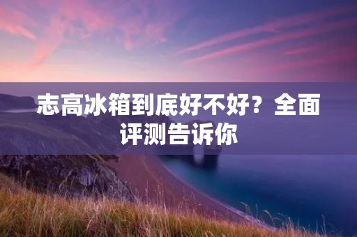 志高冰箱到底好不好？全面评测告诉你