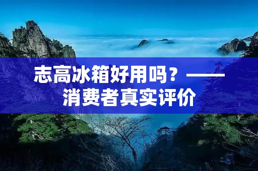 志高冰箱好用吗？——消费者真实评价
