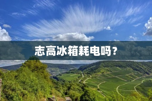 志高冰箱耗电吗? 志高冰箱耗电吗?