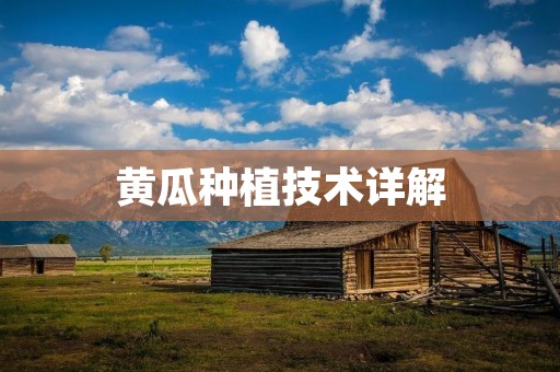 黄瓜种植技术详解