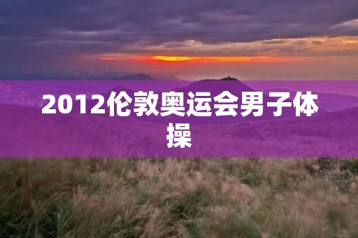 2012伦敦奥运会男子体操:中国队夺得金牌 2012伦敦奥运会男子体操:中国队夺得金牌