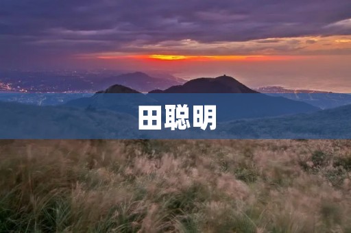田聪明:一位华裔科学家的成长与贡献 田聪明:一位华裔科学家的成长与贡献